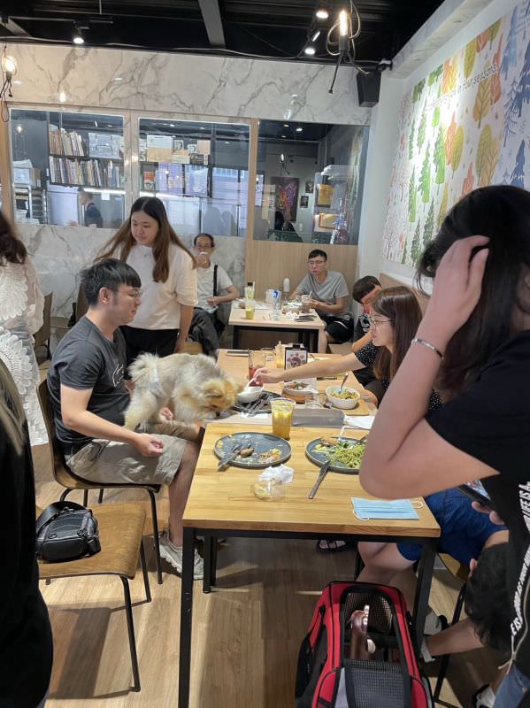 森林小徑大墩店对宠物超友善