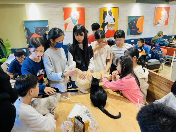 森林小徑大墩店对宠物超友善